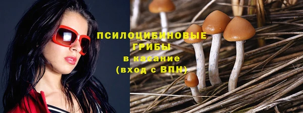 прущие крисы Михайлов